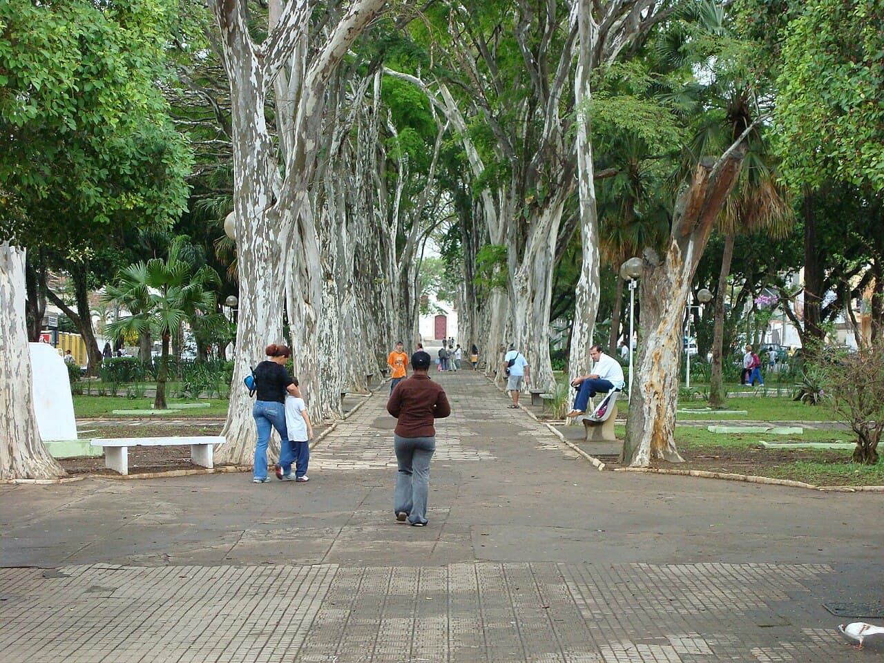 Campo Belo/MG