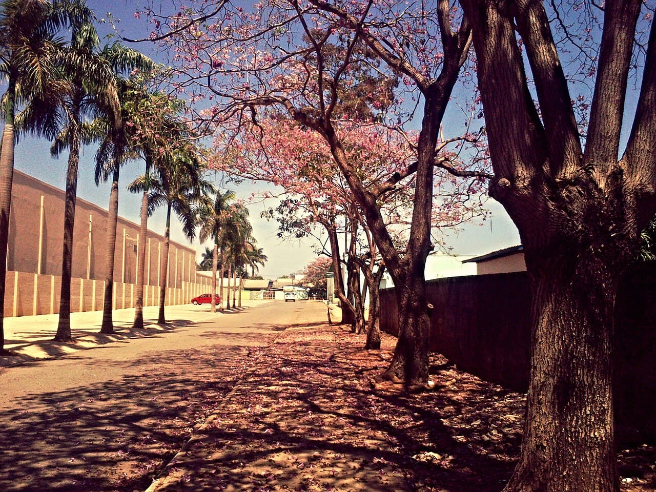 Ariquemes/RO