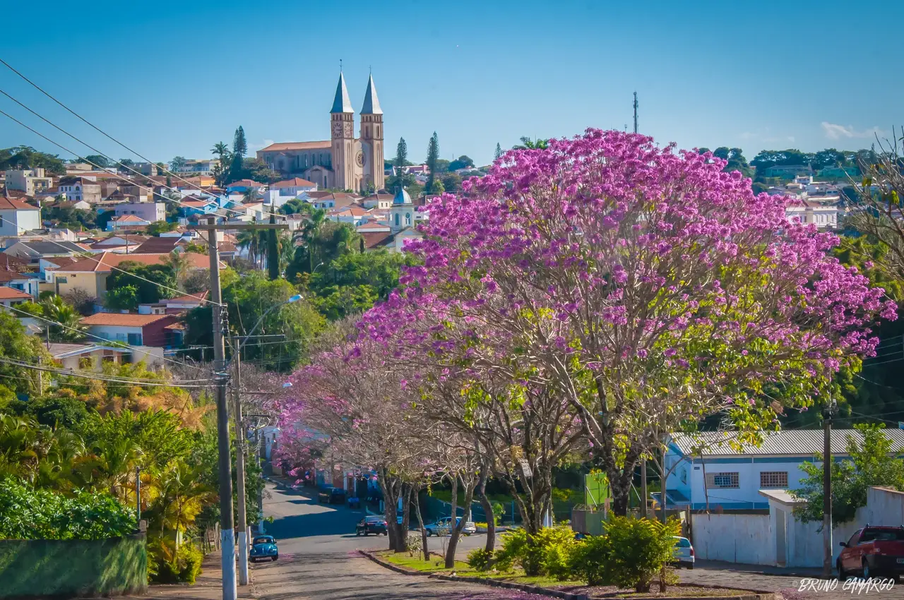 Vista de Guaxupé — Catedral e ipês floridos, Sul de Minas Gerais